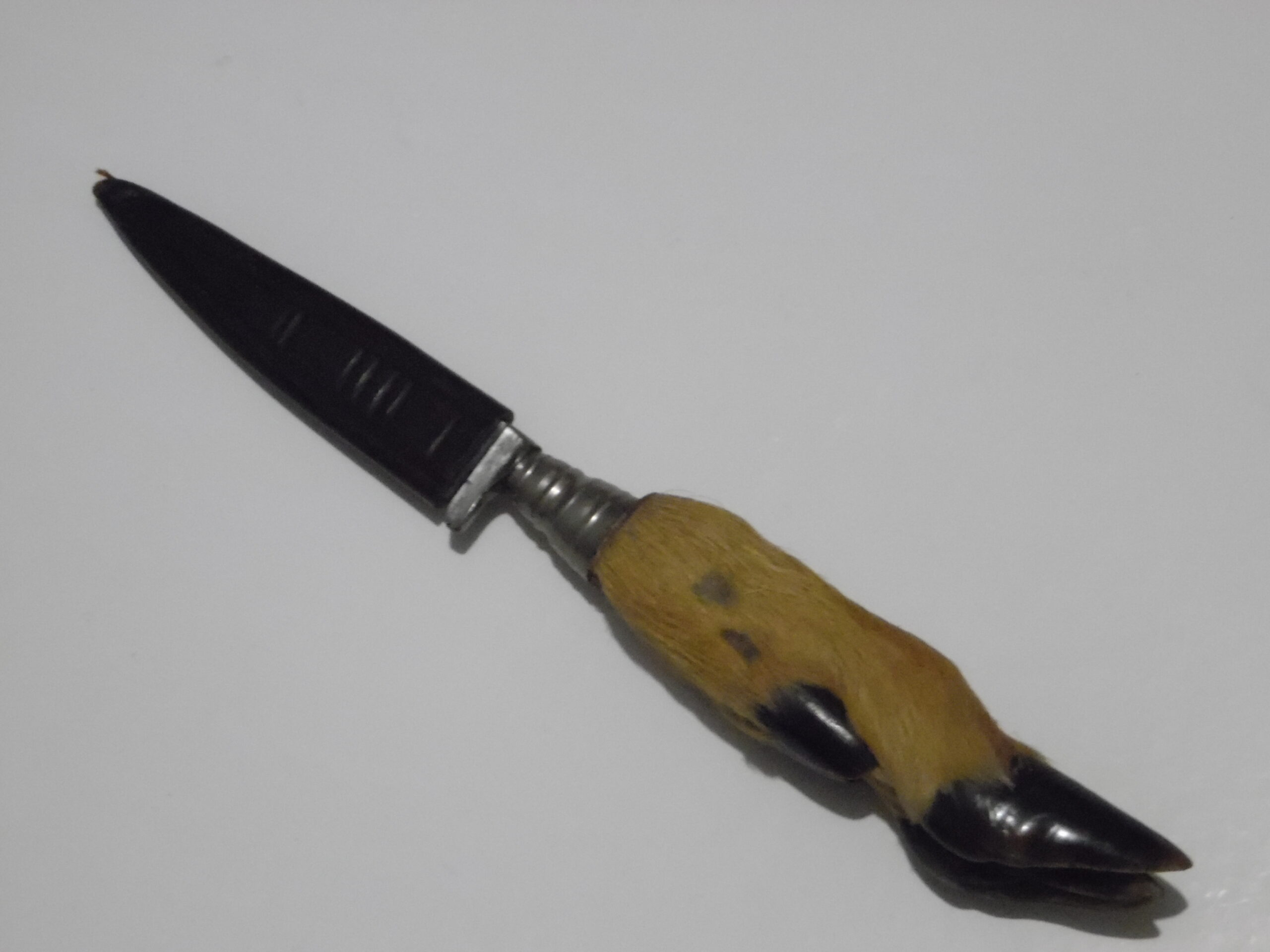 Marque : Koenisberg Origine : Autriche Particularité : Petit couteau autrichien, acier Solingen, manche patte de chevreuil Dimension : 21 cm dont lame 9 cm  Prix : 38€
